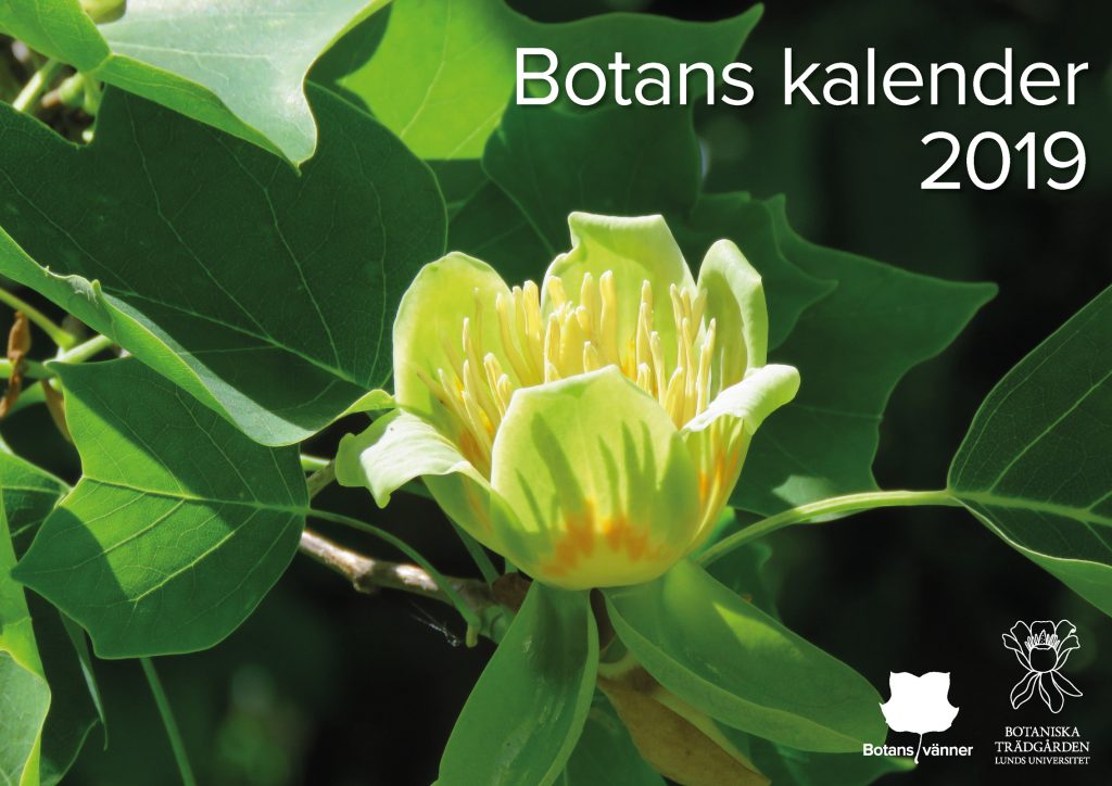 Botans kalender 2019. Foto: Dan Abelin.