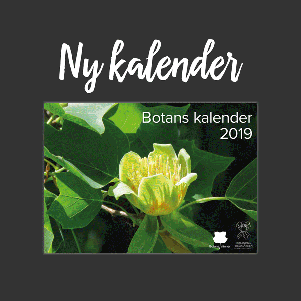 Botans kalender 2019 – köp i Botans butik